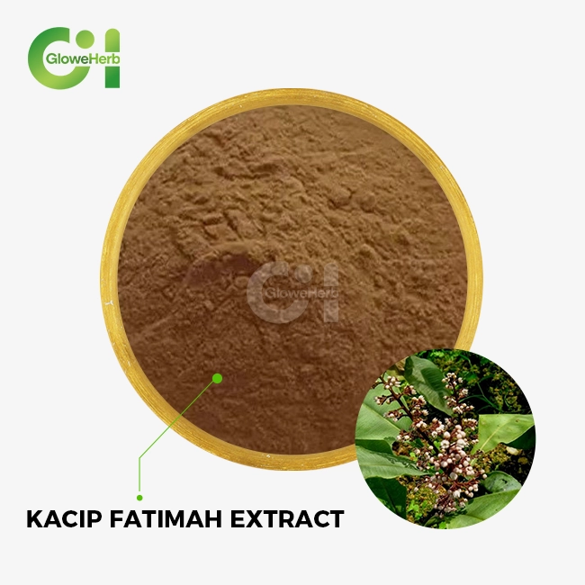 Kacip Fatimah Extract